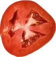 tomato1