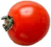 tomato4