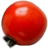 tomato5